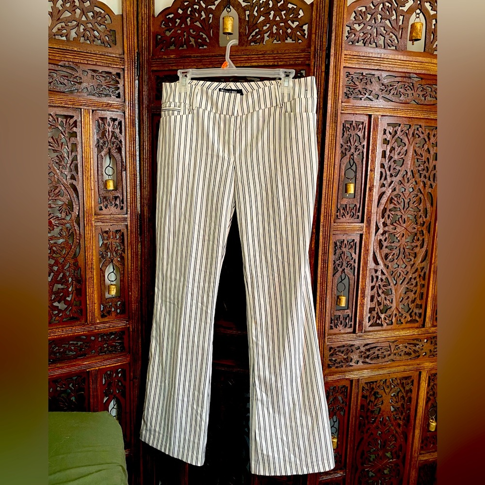 Dress pant